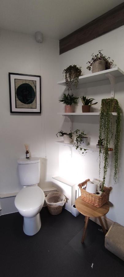 Adail Cottage Абъристуит Екстериор снимка